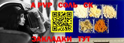 бошки Кингисепп