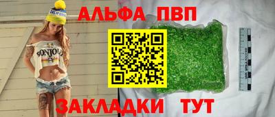 бошки Кингисепп