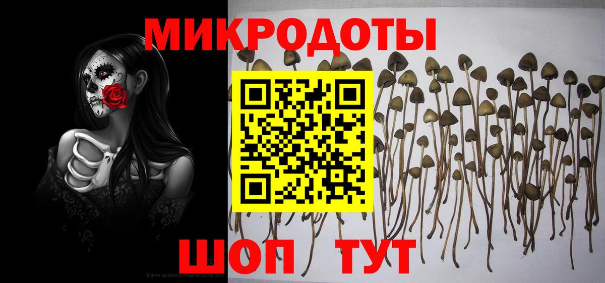 Глазов  Псилоцибиновые грибы Psilocybine cubensis  цена наркотик  Вход с VPN 